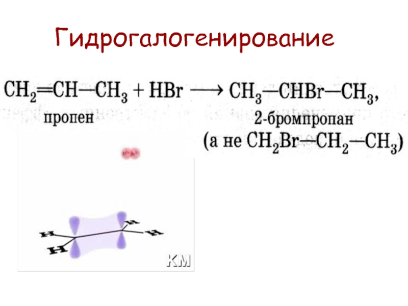 Получение пропена. Пропин реакция гидрогалогенирования. Пропилен гидрогалогенирование. Гидрогалогенирование пропена реакция. Алкены гидрогалогенирование.