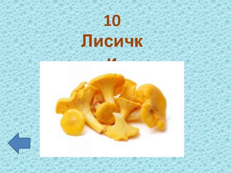 10 лис