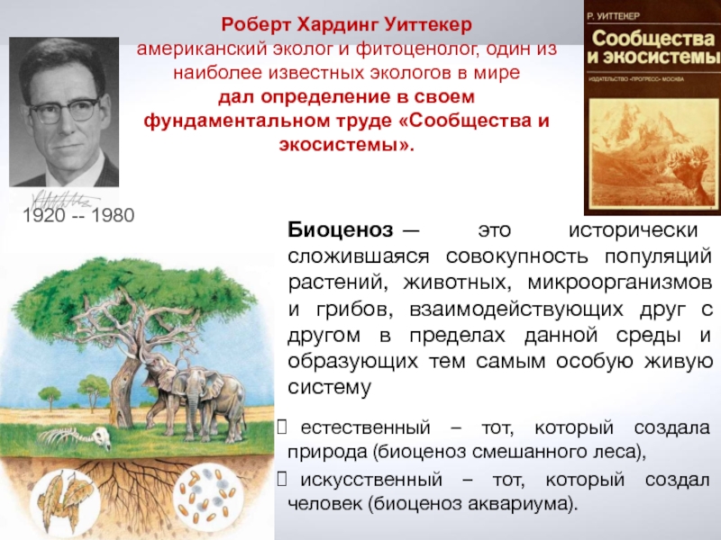 Основы экологии 9 класс. Исторически сложившаяся совокупность популяций-это. Биоценоз совокупность растений животных и микроорганизмов. Совокупность растительных популяций сообщества. Основы экологии.