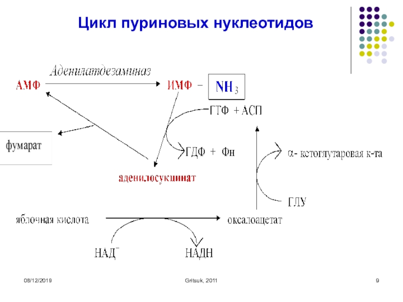 Презентация биохимия нервной системы