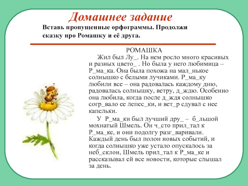 Ответ ромашка. Слово Ромашка. Словарное слово Ромашка. Ромашка статья Словарная. Ромашки текст.