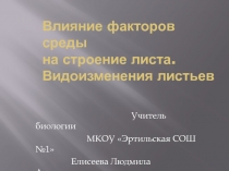 Влияние факторов среды на строение листа. Видоизменения листьев