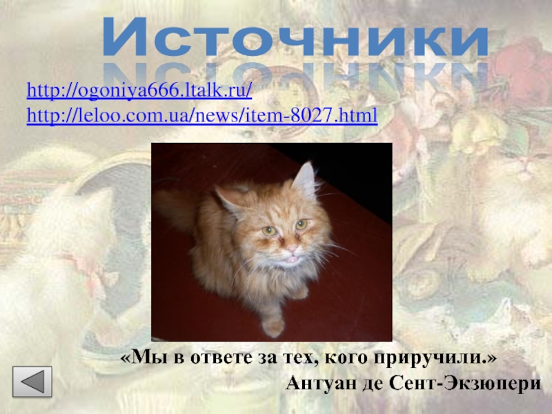 http://ogoniya666.ltalk.ru/http://leloo.com.ua/news/item-8027.html Источники«Мы в ответе за тех, кого приручили.»