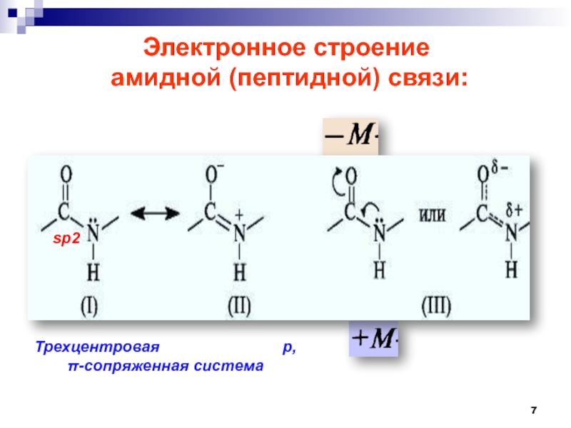 Выберите изображение пептидной связи