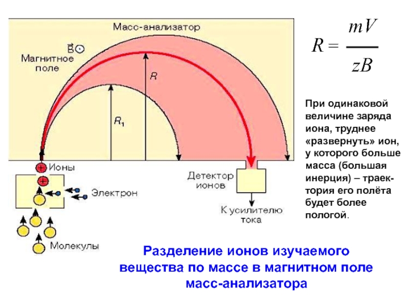 Поле массы