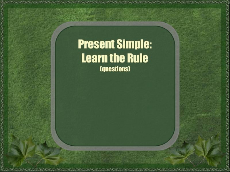 Present Simple:
Learn the Rule
( questions)