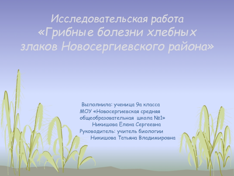 Грибные болезни хлебных злаков Новосергиевского района