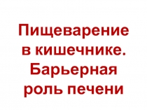 Пищеварение в кишечнике. Барьерная роль печени
