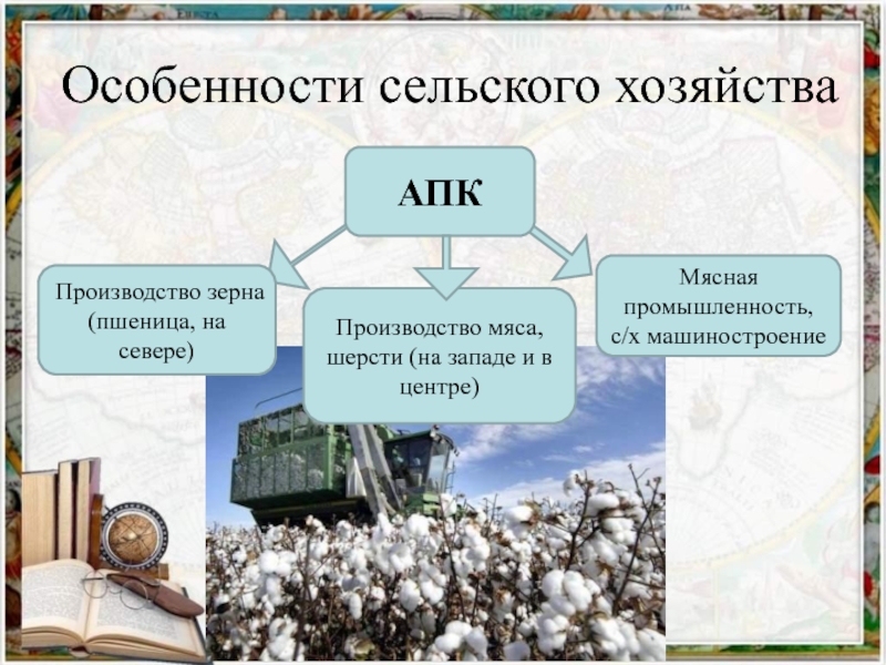 Особенности сельского хозяйства оренбургской области