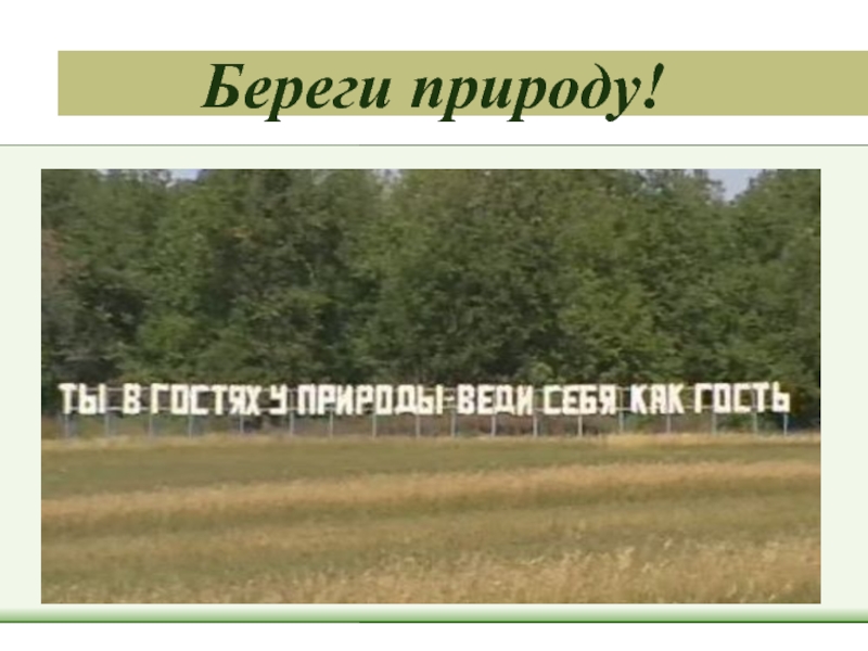 Берегите природу цифровой материал. Тема берегите природу с числительными. Берегите природу с цифровыми фактами. Береги природу с числительными 6 класс. Доклад берегите природу 6 класс с числительными.