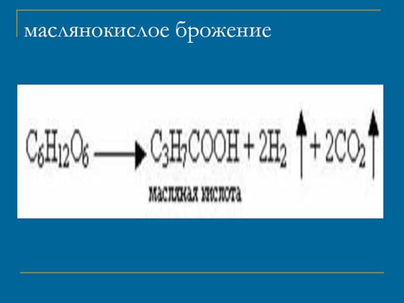 Маслянокислое брожение это