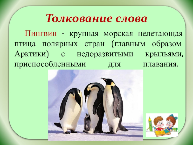 Толкование слова  Пингвин - крупная морская нелетающая птица полярных стран (главным образом Арктики) с недоразвитыми крыльями,