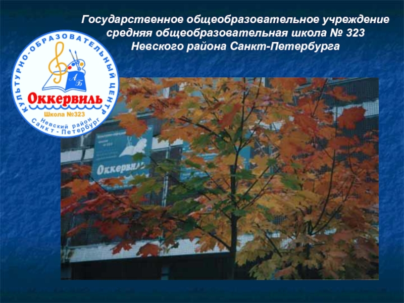 Государственное общеобразовательное учреждение средняя общеобразовательная школа № 323 Невского района Санкт-Петербурга