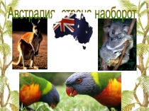 Австралия- страна наоборот