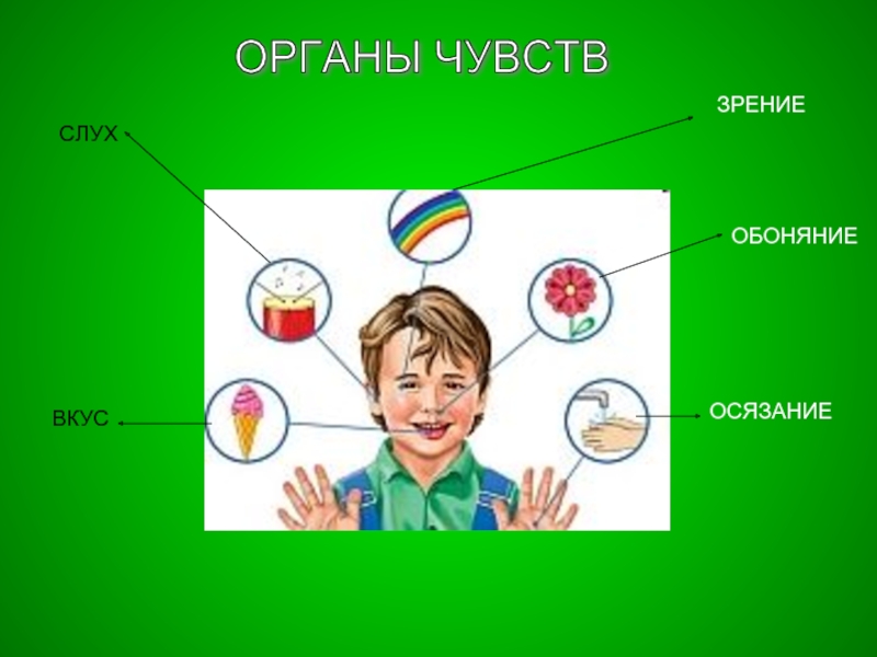 Рисунок гигиена органов чувств