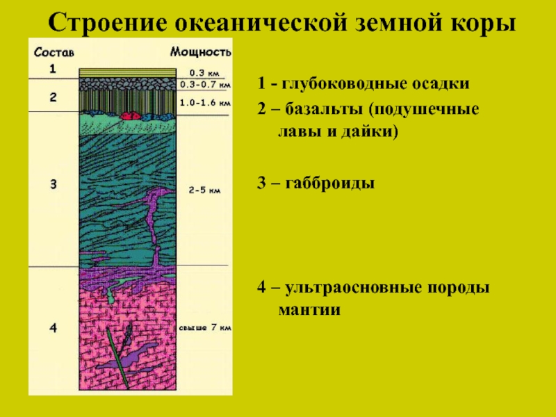 Схема океанической земной коры