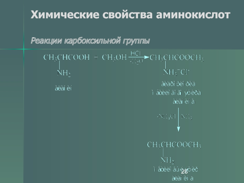 Химические свойства аминокислот. Реакция аминокислот с металлами. Реакция аминокислот с активными металлами. Химические свойства аминокислот реакция по карбоксильной группе. Химические свойства аминокислот реакции карбоксильной группы.