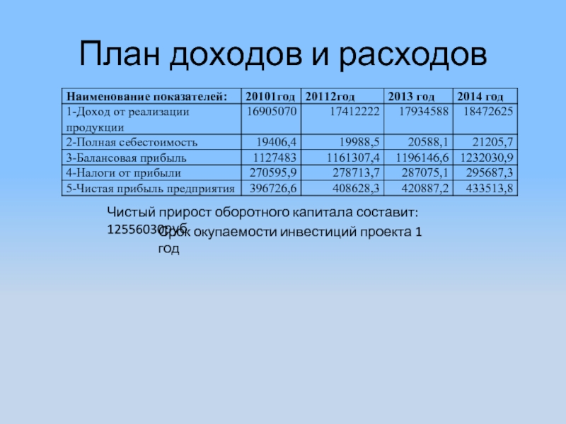 Расходы на бизнес план