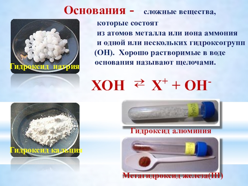 Основания 11 класс презентация