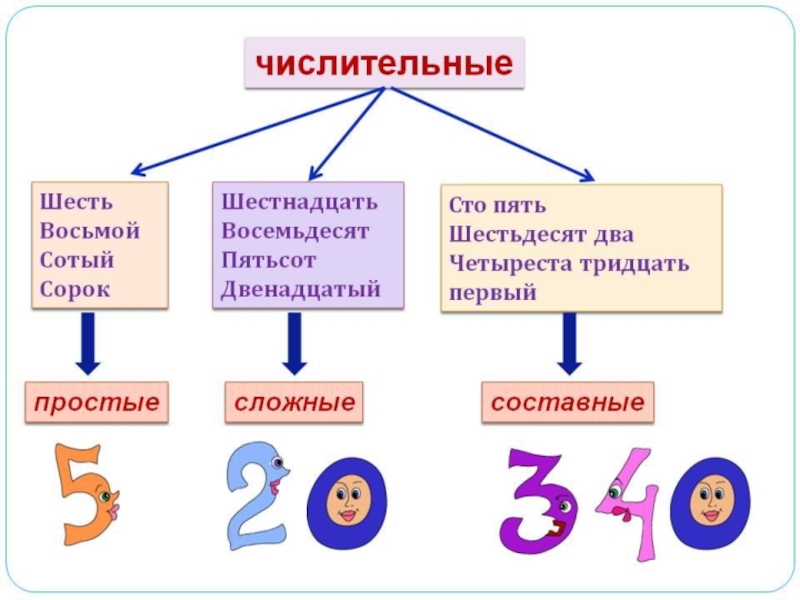 Имя числительное в картинках