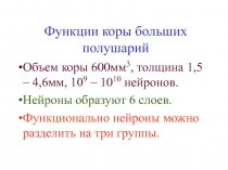 Функции коры больших полушарий