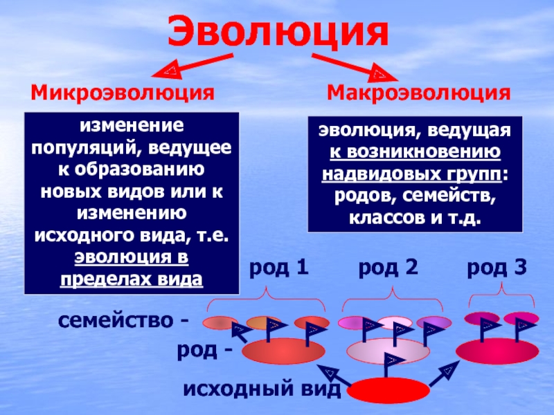 Микроэволюция презентация 9 класс