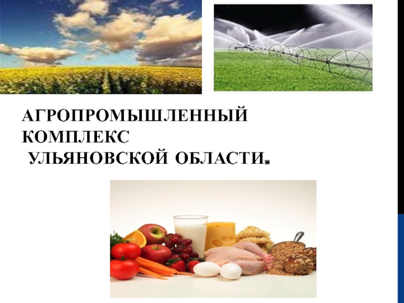 Агропромышленный комплекс Ульяновской области
