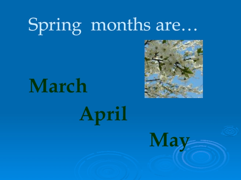 Spring с английского на русский. Months презентация. Летние месяцы на английском. Spring месяцы. Spring months are.