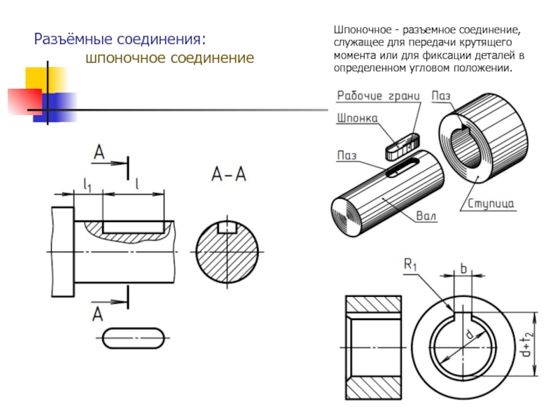 Размеры паза на чертеже. Разъемные соединения деталей чертеж. Чертёж разъемного шпоночного соединения. Резьбовые соединения шпоночные шлицевое соединения. Чертежи деталей шпоночного соединения.