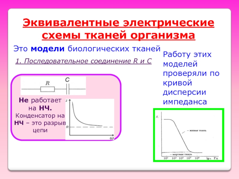 Эквивалентная электрическая схема тканей организма включает сопротивления