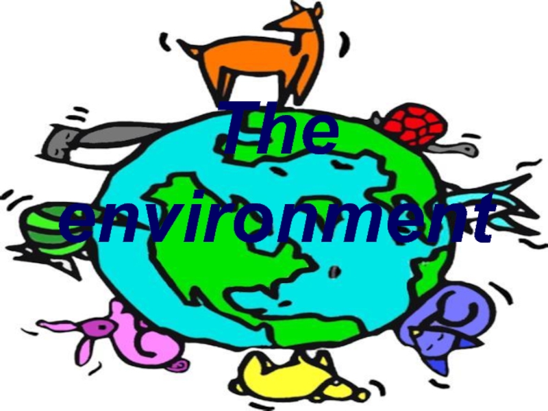 The environment