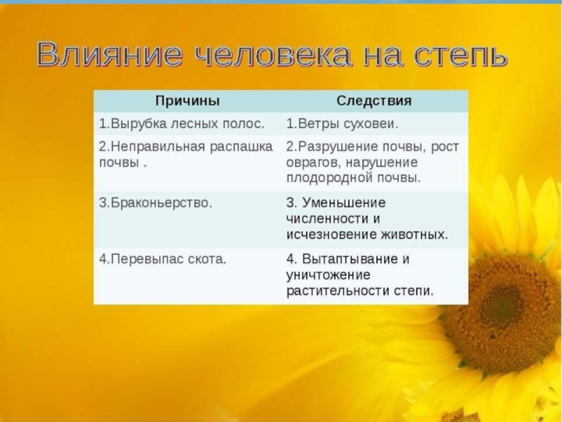 Как человек использует степь в наши дни. Деятельность человека в степи. Влияние человека на степь. Деятельность человека в зоне степей. Деятельность людей в стеях.