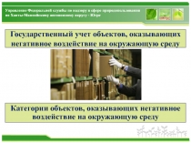 Управление Федеральной службы по надзору в сфере природопользования по