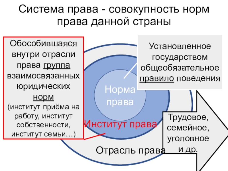 Презентация егэ право в системе социальных норм