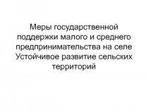 Презентация Меры государственной поддержки малого и среднего предпринимательства на.ppt