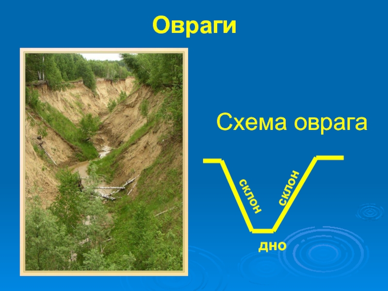 Форма рельефа овраг схема