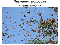 Значення та охорона членистоногих