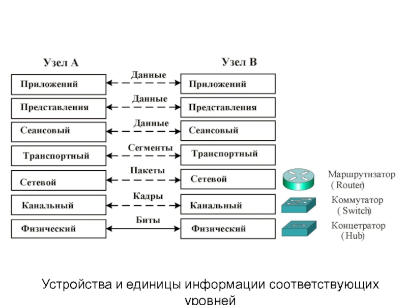 Дающих соответствующий уровень в. Классификация сетевых моделей. Формирование пакета каждого уровня семиуровневой модели. Классификация сетей биты. Физическая цепь сети классификация.