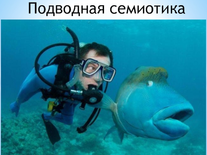 Подводная семиотика