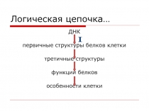 Логическая цепочка…