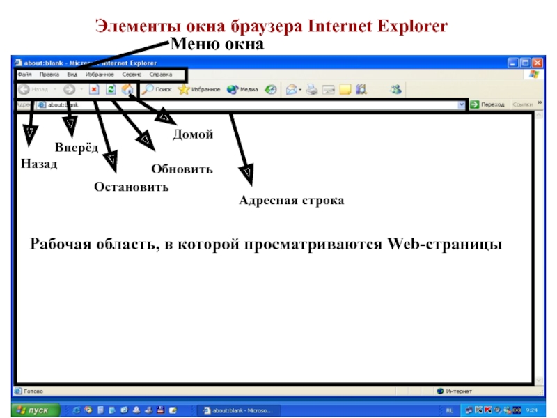 Страница интернет эксплорер. Название элементов окна браузера. Заголовок окна браузера. Окно браузера Internet Explorer. Элементы окна.