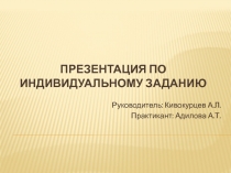 Презентация по индивидуальному заданию