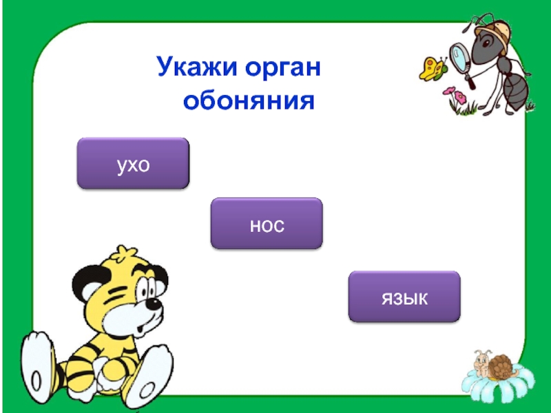 Укажи орган