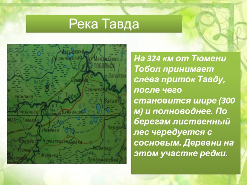 Презентация на тему река Тобол. Исток реки Тобол. Река Тавда на карте. Река Тобол на карте.