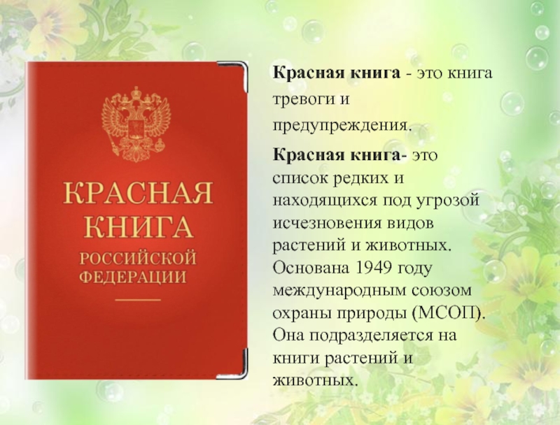 Презентация книга тревоги