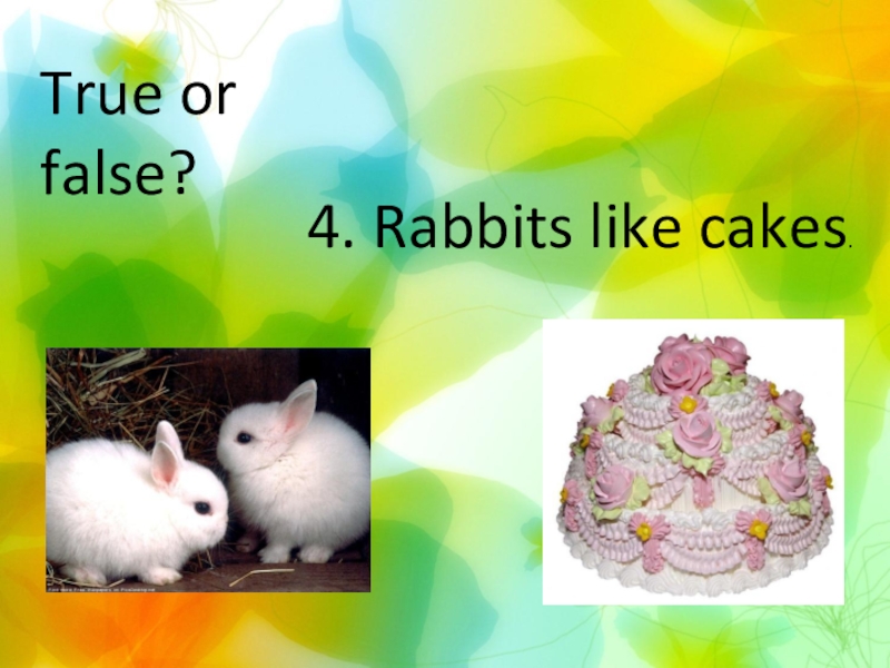 He like cakes. I like Rabbits he likes Rabbits 2 класс английский. Like Rabbits. I like Rabbits. Измени по образцу i like Rabbits he likes Rabbits.