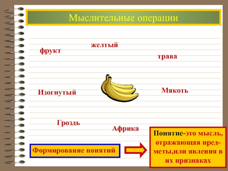 Операция фруктам. Мыслительные операции с фруктами. Как провести операцию а фруктах.