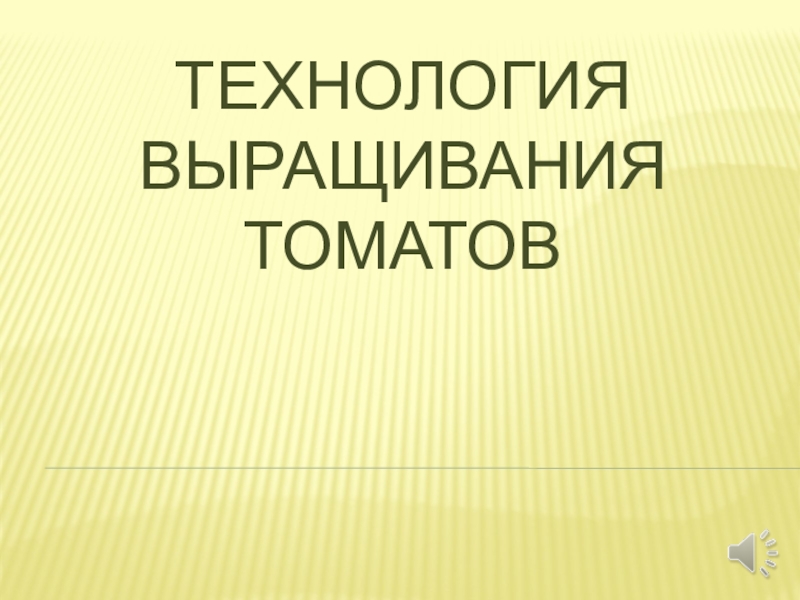 Презентация ТЕХНОЛОГИЯ ВЫРАЩИВАНИЯ томатов