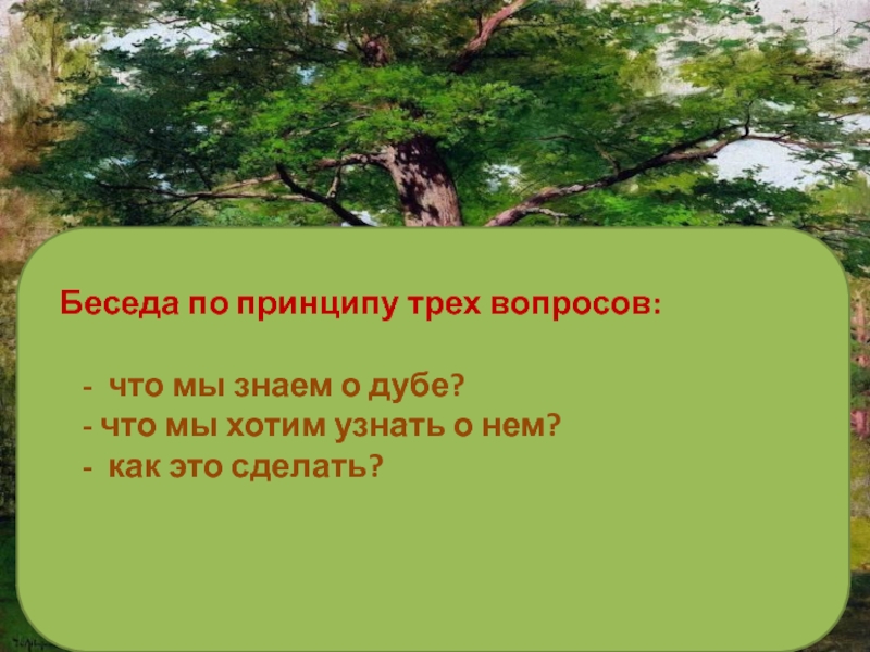 Ответ дуб. Загадка про дуб для детей. Что мы знаем о дубе. Пословица про дуб и топор. Дуб и тростник.