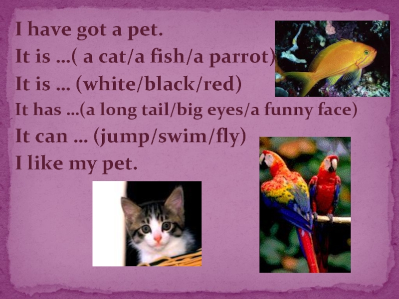 I have got a pet.It is …( a cat/a fish/a parrot)It is … (white/black/red)It has …(a long
